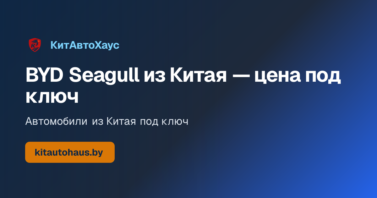  Seagull