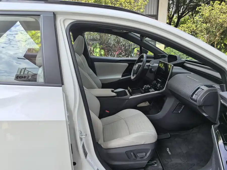 Toyota Bozhi - фото 20